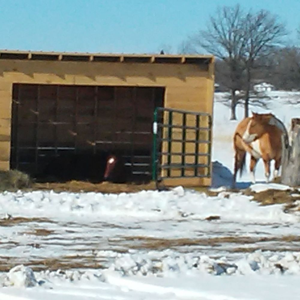 Meet your Posher, Fran